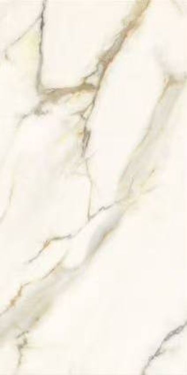 Time Dorado Matte 12 x 24